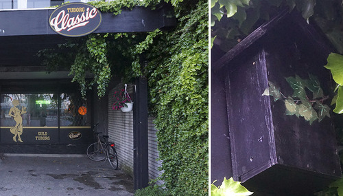 ����ե顼����Ļ����Ȣ05