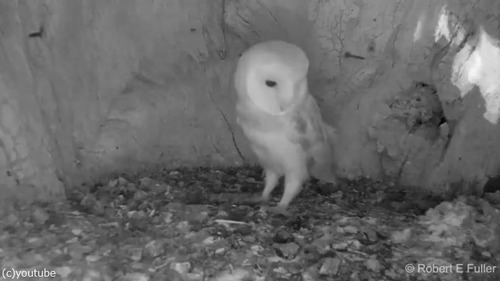 ����ݤ�����ե������λҤɤ�01