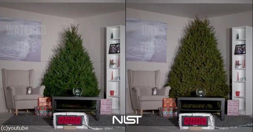 クリスマスツリーの扱い方法に注意01