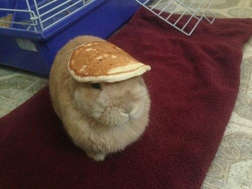 07�ͤɤ������餤���Ρ�