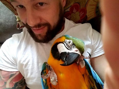 足が不自由な犬の車いす04