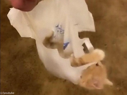 �쥸�ޤ������ʻ�ǭ03