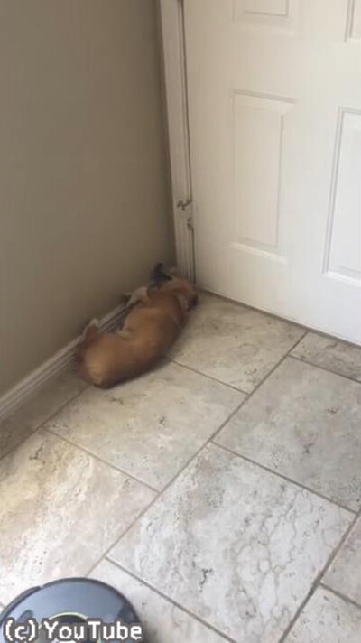 ���ܥå��ݽ�����ư���ʤ���������04