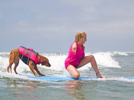 クレイジー・サーファー09