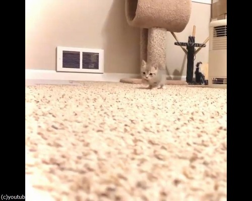 �����ˤ����뤪�����Ť���ǭ02