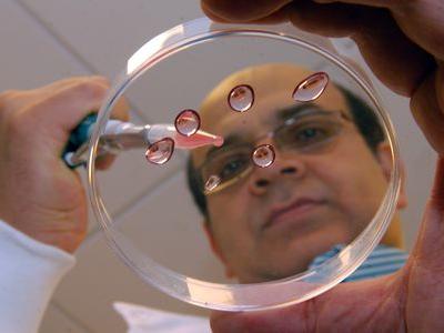世界初の人工精子が幹細胞から作りだされる