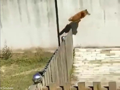 ���ΰ�̣���ʤ���01