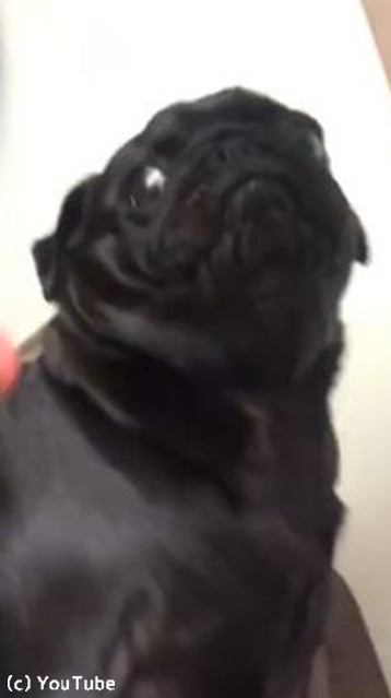 ���ΰ���ɽ���ˤ����������04