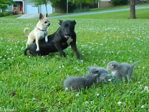 ͦ���ʥ���郎��ǭ����04