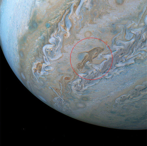 �����˵���ʡ֥��륫�פλ�01