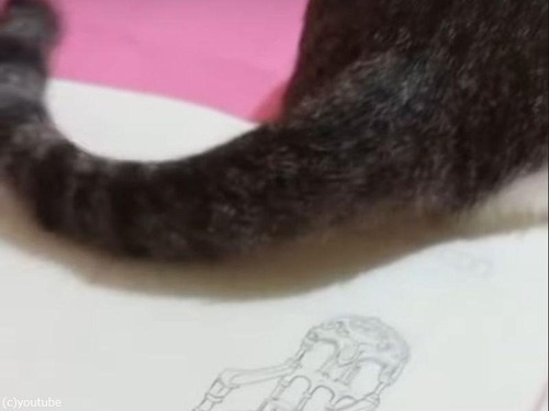 猫のしっぽでお掃除
