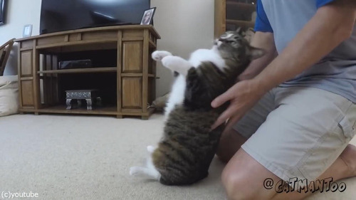 ������ݤ��ǭ06