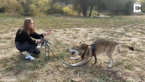 �ڥåȥ������ߤȤγڤ�����������05