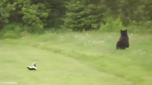 ������̿�Υ����󥯤����ޤ���ह��ִ�04