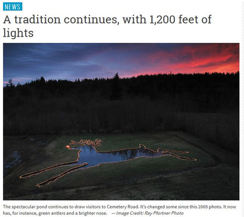 上空から見た池02