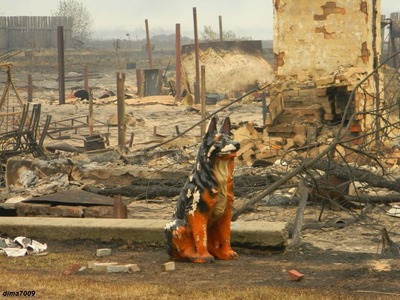 �������λ��л�02