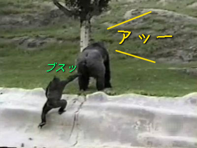 �����뤵�󤿤��Τ�������