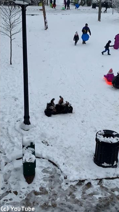 ��򰦤��Ƥ�ޤʤ��������02