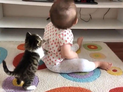��ǭ���֤�����ĩ��04