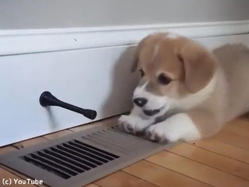 �֤���󥳡��������ʤ����ɥ����ȥåѡ���̴��00