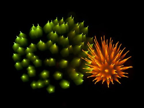 長時間露光で花火05