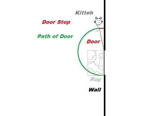 盲目の猫が外に出たいとき03