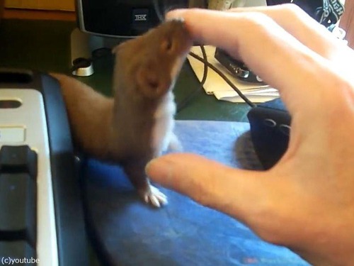 �������Υ�����05