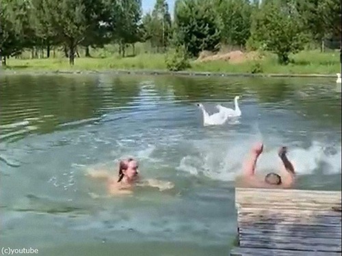 ��Ļ����ĥ��04