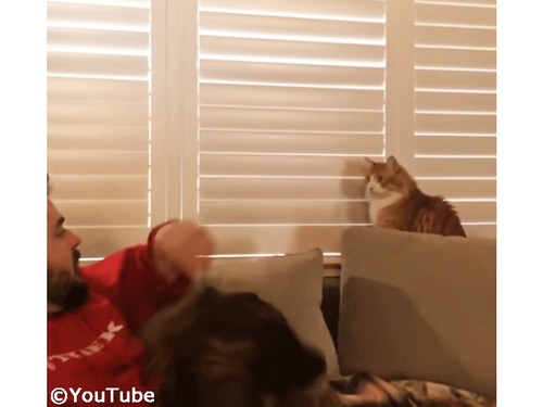 �����򸫤���ǭ VS �֥饤��ɤ��Ĥ᤿�������礵��00