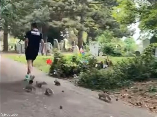 ナッツを投げながらジョギング