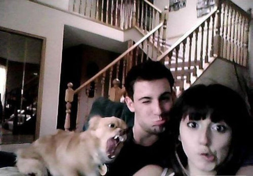 動物と女性たち19