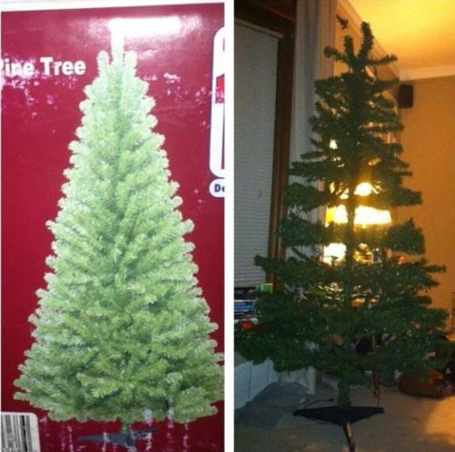 �����ܤ˥��ޤ��줿�͡�13