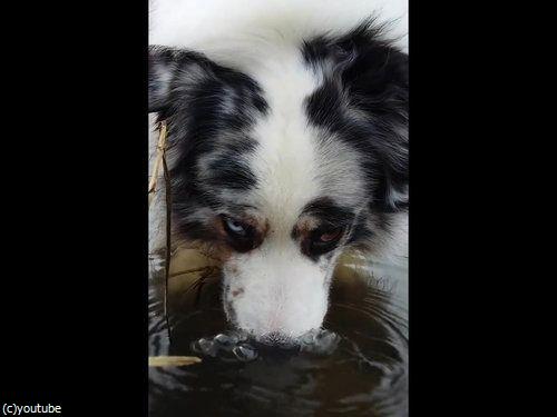 ֿʹ֤ξФˤϤ³ʤ06