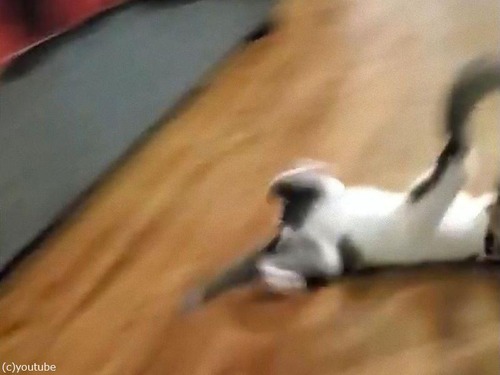 ǭ���դ��˥��饤�ǥ���03