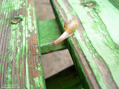 のびのびーーっ03