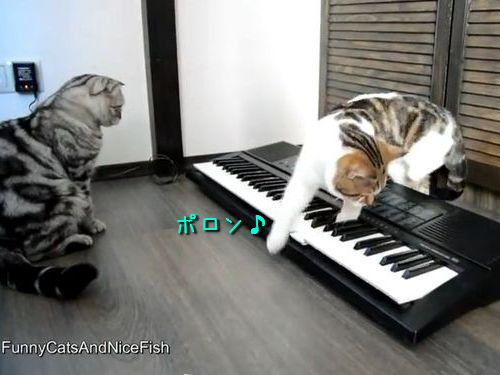 ǭ����ؤ֡����Ȥ��ƤΤդ�ޤ�04