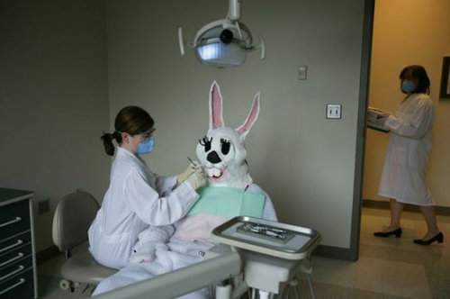 �����������Τ�����14