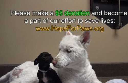 ���ߤλ�����餹�ۡ���쥹����߽�16