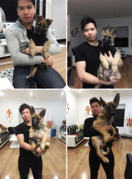 犬の成長15