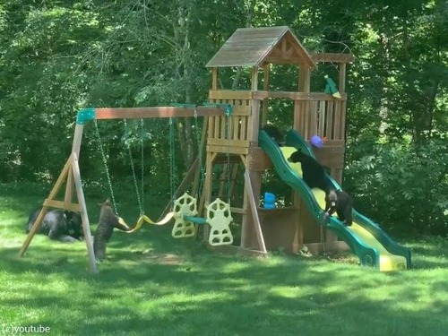 ͷǥޤοƻҤڤͷǤ01