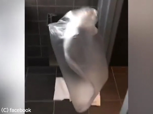 �������ϥץ˥�05