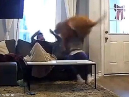 �Ҹ��ε��������緿��03