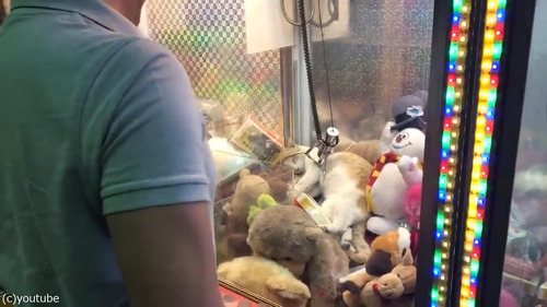 ���졼�󥲡����ǭ05