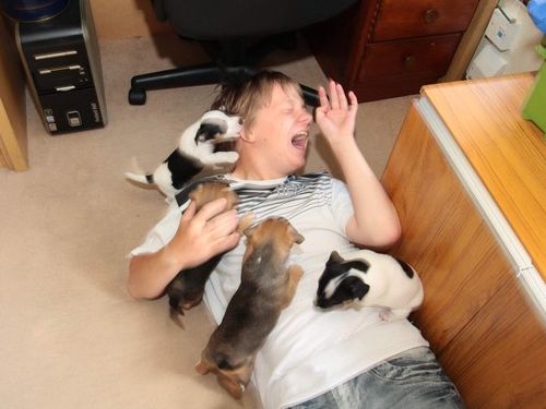 ペットたちが離してくれない09