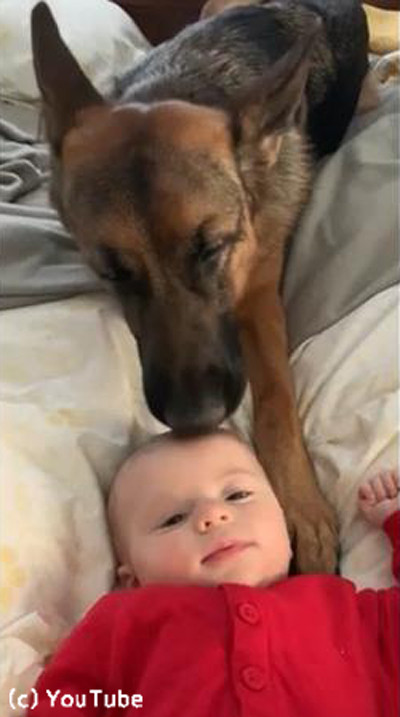 �Ҽ����ʥ����ѡ���01