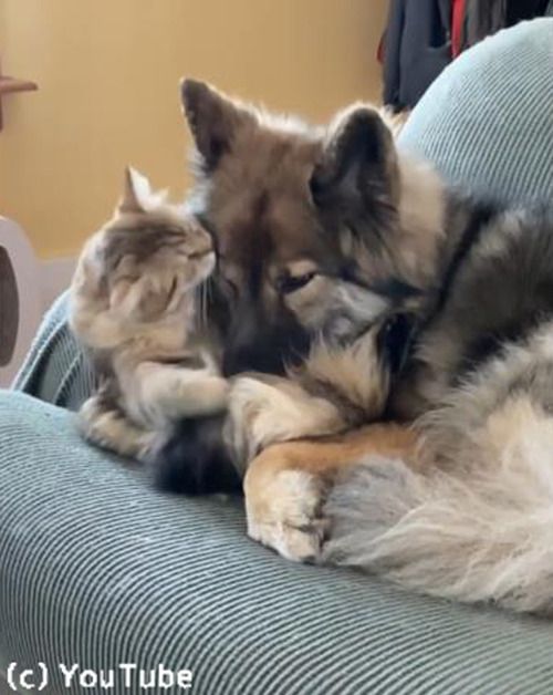 Ʊ������ۤ����ɤ��ʤդ���03