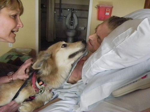 最後は愛犬と19