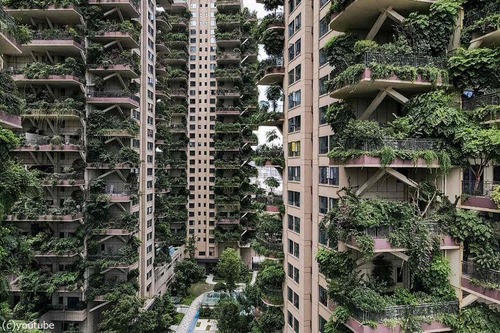 ���Ρֿ�ľ�ο���01