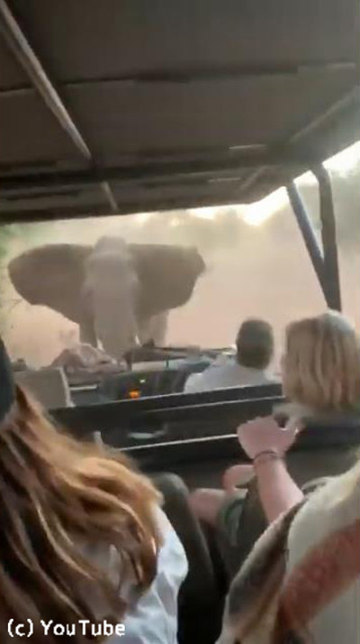 �Ѹ��Ҥ�褻���֤ˡĥ������Ϳʤ��Ƥ�����01