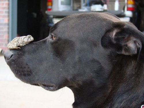 05�ͤɤ������餤���Ρ�